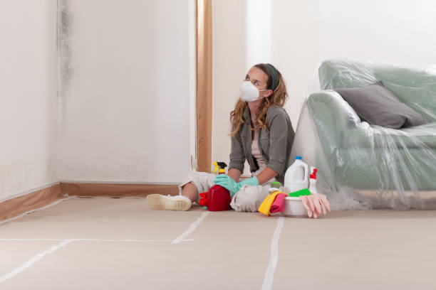 Reliable Mold Remediation contractor in Washington, VA by 24 Hour Mold Removal